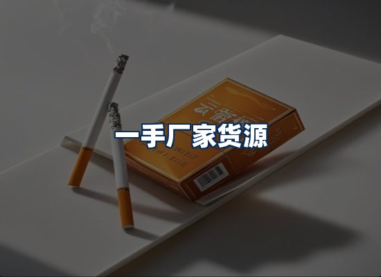 专业团队办公环境